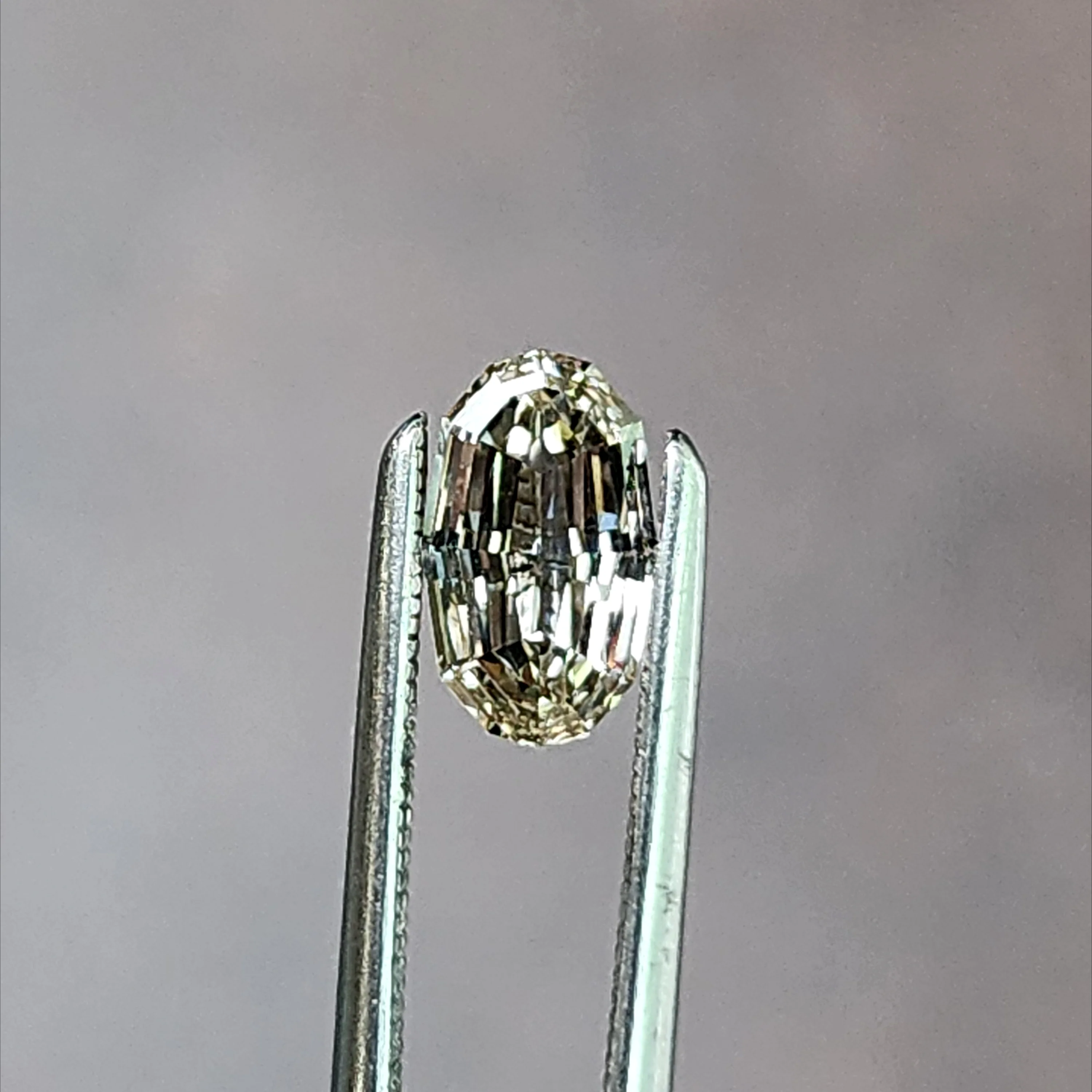 .70ct Natural Diamond Oval Geo Step Cut
